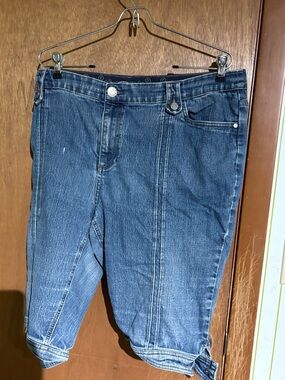CJ Banks Women's Dark Blue Jean Shorts size 22w